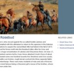 Prelude to Little Bighorn: Battle of the Rosebud